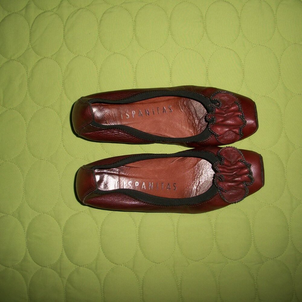 Hispanitas Vintage 2012 Merlot Color Shoes
